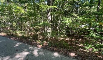 VL Lake Drive lot 174/175, Allegan, MI 49010