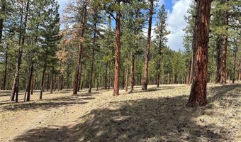 31760 HWY 10 W, Alberton, MT 59820