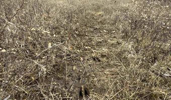 652 Nd St, Albia, IA 52531