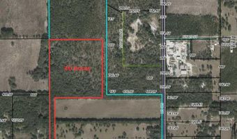 NW County Road 236, Bell, FL 32619
