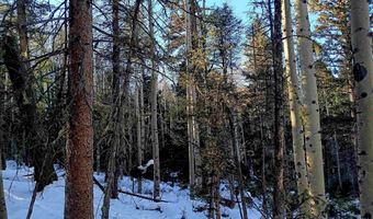 Lot 722 Santo Domingo Trail, Angel Fire, NM 87710