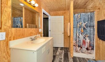 167 Henry Bayless Rd, Ardmore, TN 38449