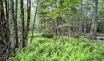 M5 L27-3 Marks Road, Albion, ME 04910