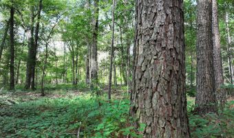 Highway 112, Abbeville, GA 31001