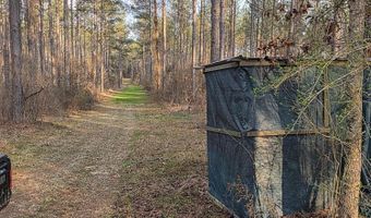 U.S. Highway 51, Bogue Chitto, MS 39629