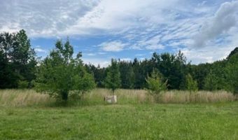 0 Washington Hwy, Ashland, VA 23005