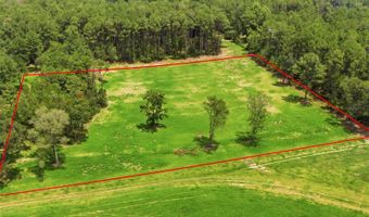 254 TH Ln Lot 19, Alachua, FL 32615