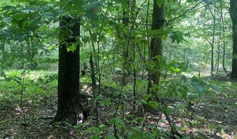 Cr-38, Alma, NY 14708