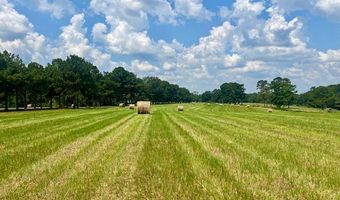 60327 Highway 445, Amite, LA 70422
