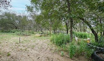 719 Falling Leaves, Adkins, TX 78101