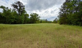 Fowler Road, Ashford, AL 36312