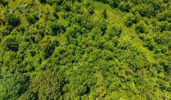 4159 S Amherst Hwy, Amherst, VA 24572