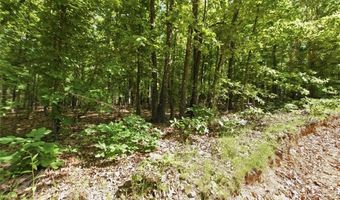 210 County Road 320, Alton, MO 65606