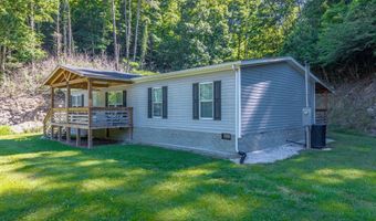 3750 Hunting Creek Rd, Bays, KY 41310