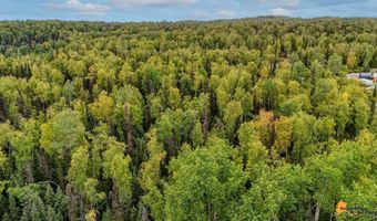 6092 S Purinton Pkwy, Big Lake, AK 99623