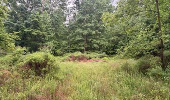 Tdb Cove Creek Rd, Bastian, VA 24314