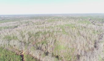 Buckhead Rd, Blair, SC 29015