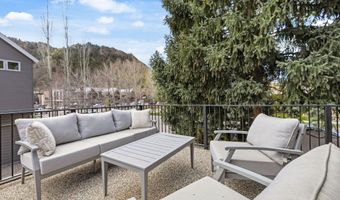 101 E Hallam St, Aspen, CO 81611