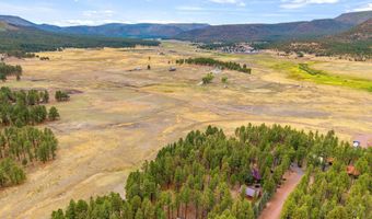 3 County Rd. N2157 Parcel 3, The Meadows Edge, Alpine, AZ 85920