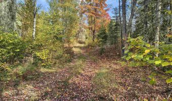 TBD 5.5ac Fishing Site 1, Amasa, MI 49903