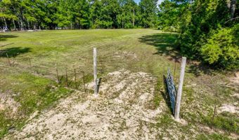 12 5+/- Acres Zell Ready Rd, Andalusia, AL 36421