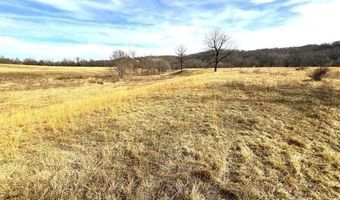 178 Acres Bug Scuffle Ln, Anderson, MO 64831