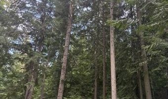 TBD Big Buck Rd, Bayview, ID 83803