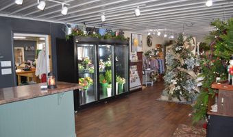 107 W. Main St, Albion, IL 62806