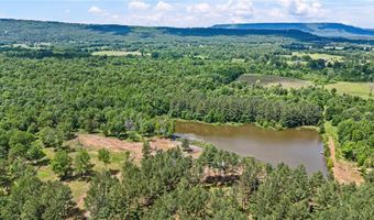 11905 E Old Bellville Rd, Belleville, AR 72824