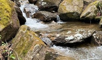 62 Acres Buckeye Ridge Rd, Beech Mountain, NC 28604