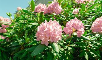 11 Highcrest Dr, Belmont, NH 03220