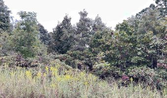 Martin Street lot 3 4 5, Ash Flat, AR 72513