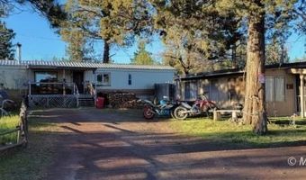 19 Chukar Ln, Alturas, CA 96101