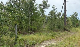 4539 NW Miller/White LN Rd, Altha, FL 32421