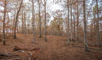 257 W Chapman Rd, Belton, SC 29627