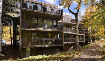 800 E Hopkins Ave A-1, Aspen, CO 81611