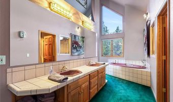 463 Blue Flag Cir, Breckenridge, CO 80424
