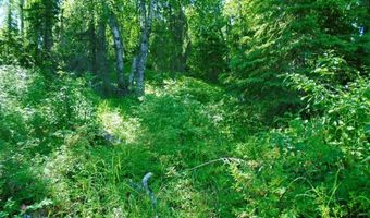 Tr B No Road, Big Lake, AK 99652