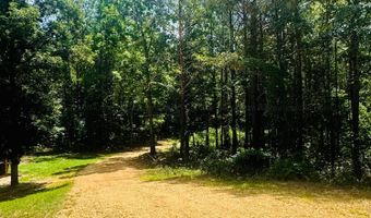 898 NEW LIBERTY Rd, Bankston, AL 35542