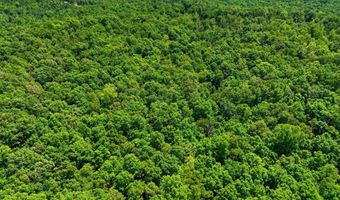 County Road 101, Alton, MO 65606