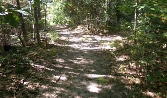 V/L 30AC Lake Winyah Road, Alpena, MI 49707