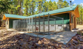 61 Co Rd 2266, Alpine, AZ 85920