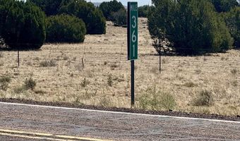 17 County Road N8034, Concho, AZ 85924