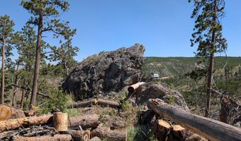 Old Camp Rd, Bellvue, CO 80512