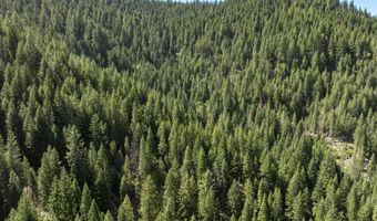 Hungry Ridge, Ashland, OR 97520