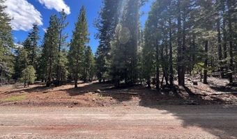 Reno Rd, Alturas, CA 96101