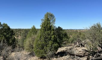 9 A Ranch Rd, Ash Fork, AZ 86320