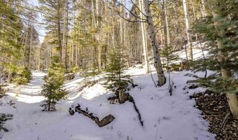 45 And 46 Sacramento Dr, Angel Fire, NM 87710