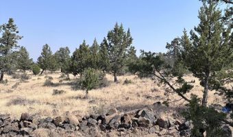 Lot 53 Widgeon Drive, Bonanza, OR 97623