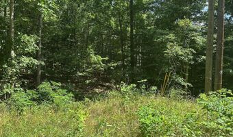 Lot 1 & 2 Rt. 1 Muddy Creek Mountain, Alderson, WV 24910